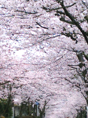 f0165831_7441578.jpg