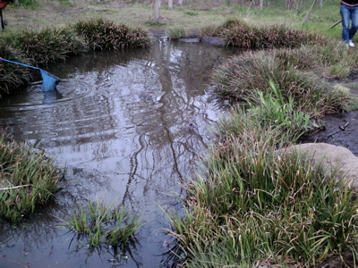 f0165831_7443752.jpg