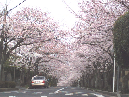 f0165831_744474.jpg