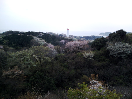 f0165831_833675.jpg