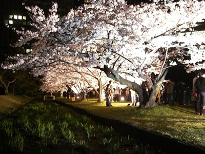 c0086433_2483550.jpg