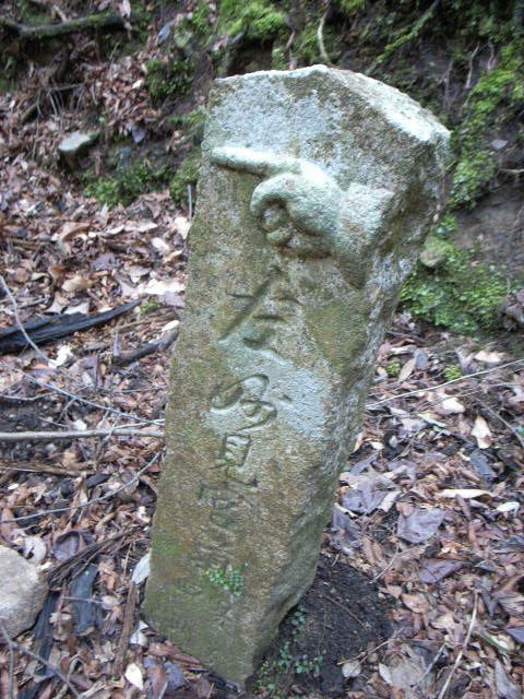 d0105133_21243246.jpg