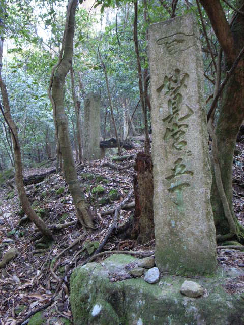 d0105133_2155961.jpg