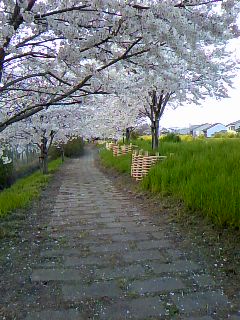 c0090534_22141427.jpg