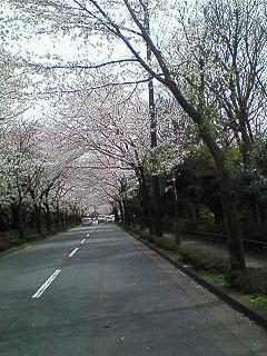 f0161834_22321776.jpg