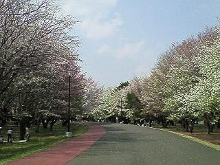 f0161834_22342895.jpg