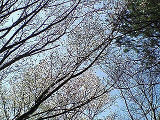 f0161834_22371067.jpg