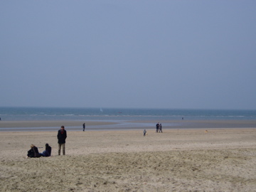 b0032039_738261.jpg