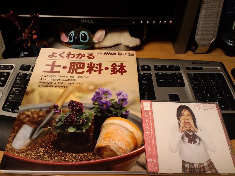 b0076739_23244062.jpg