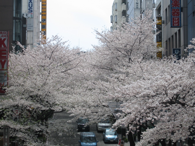 a0051443_9233669.jpg
