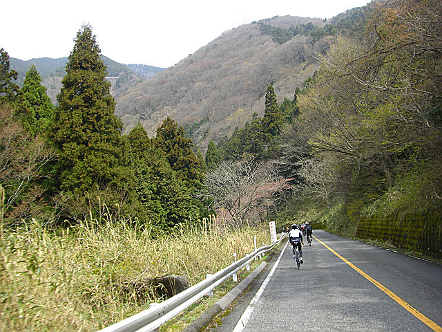 b0088444_2243526.jpg