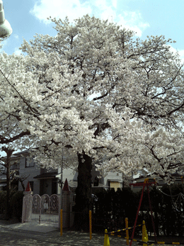 f0159844_18365914.gif