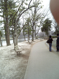 f0159844_1915587.gif
