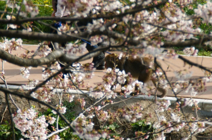 b0140347_20533354.jpg