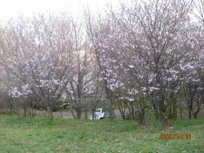 e0121548_21134574.jpg