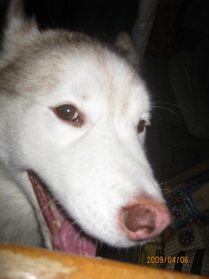 e0121548_21272857.jpg
