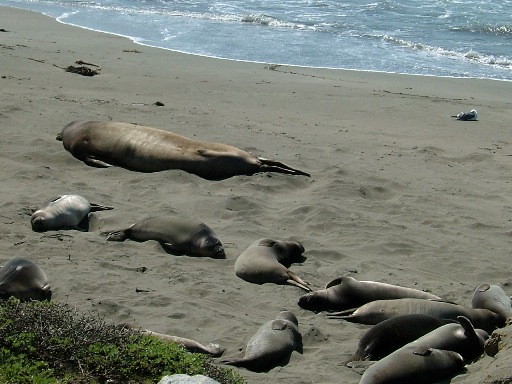 c0078451_1127367.jpg