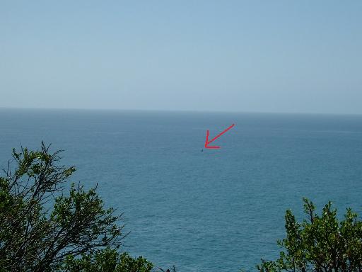 c0078451_11291618.jpg