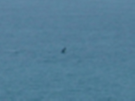 c0078451_11294995.jpg