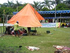 c0169451_375358.jpg