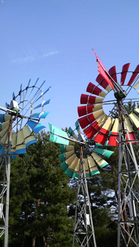 b0012252_1192389.jpg