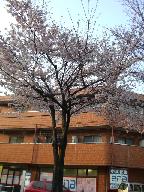 c0192852_18491718.jpg
