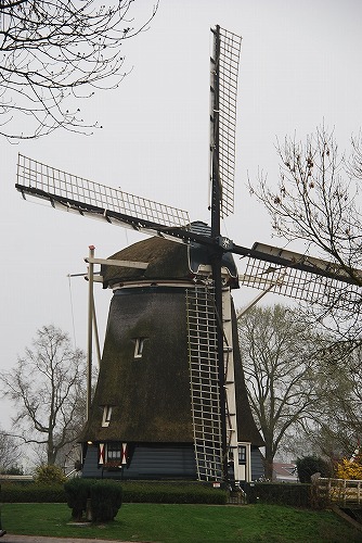 e0145753_0165876.jpg