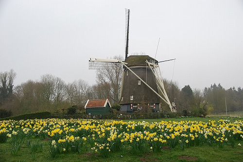 e0145753_0251632.jpg