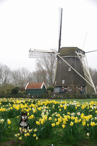 e0145753_025687.jpg