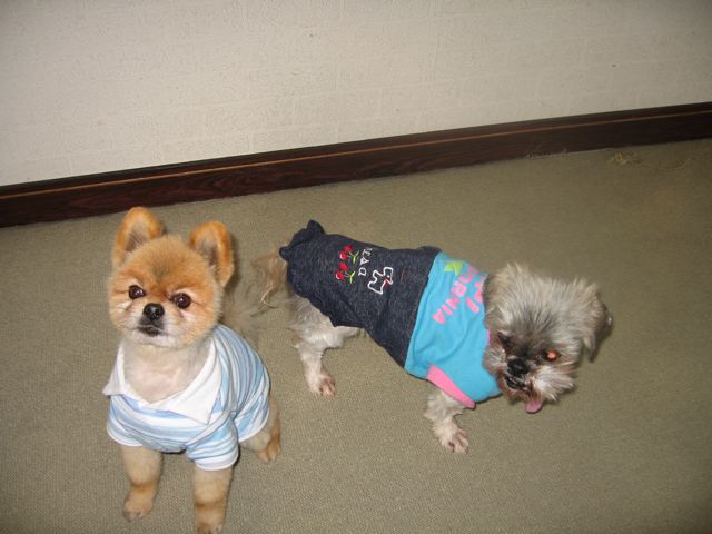 c0162160_7181879.jpg