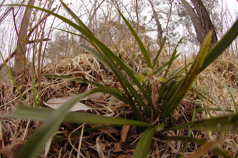 c0043361_23365714.jpg