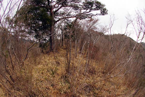 c0043361_23371654.jpg