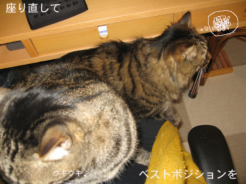 e0057361_14562851.jpg