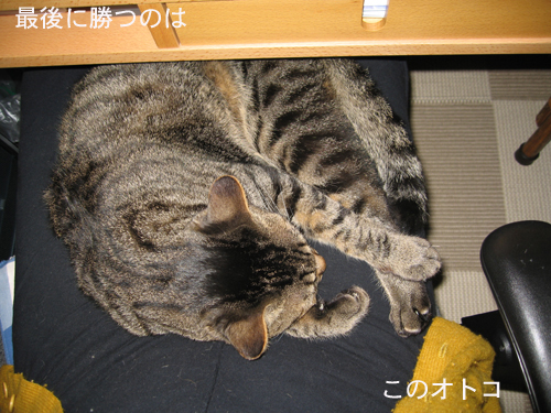 e0057361_15232613.jpg