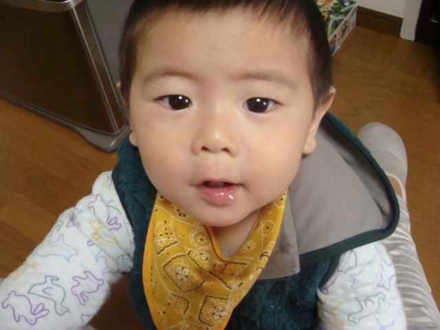 f0180261_12394295.jpg