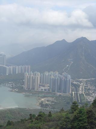 f0142862_1659276.jpg