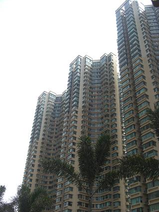 f0142862_18364555.jpg
