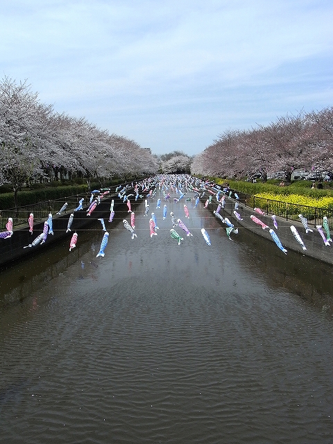 c0150963_18311333.jpg