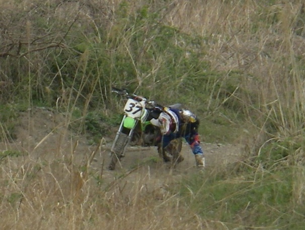 b0024266_2336362.jpg
