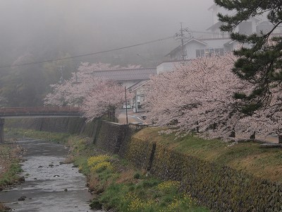 d0025568_1946835.jpg
