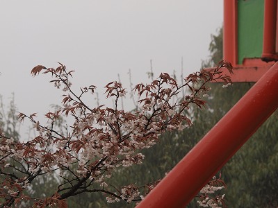 d0025568_19543716.jpg
