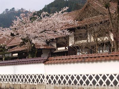 d0025568_201444.jpg