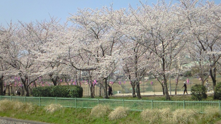 f0014371_1747367.jpg