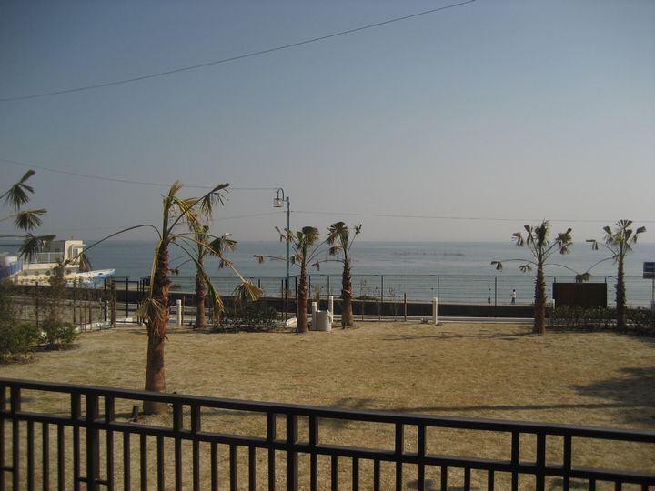 f0100871_2243389.jpg