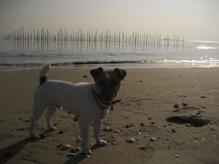 f0100871_23112865.jpg