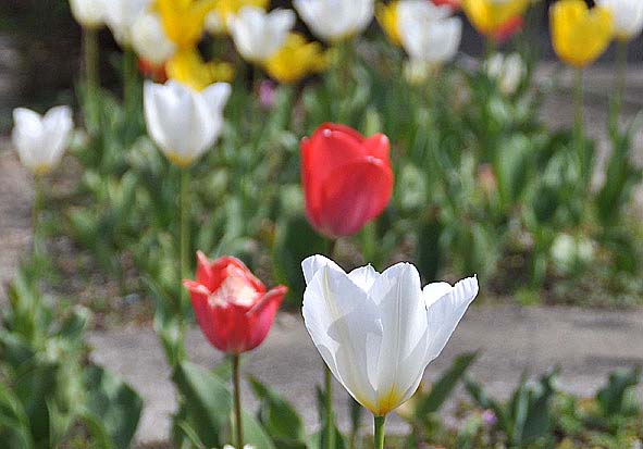 f0198771_0453841.jpg