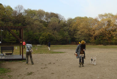 b0091373_13201244.jpg