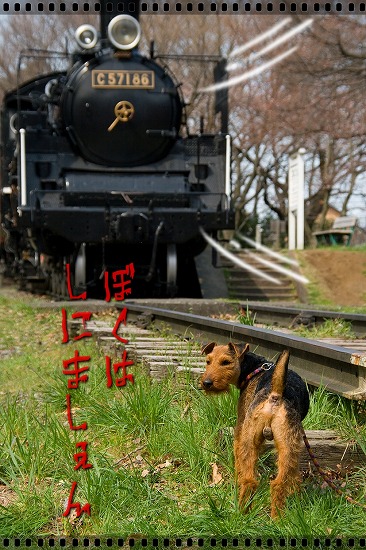 a0035678_938468.jpg