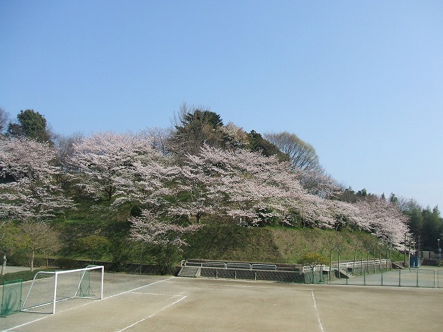 d0143678_2244483.jpg