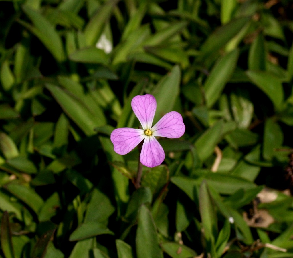 e0018678_22104931.jpg